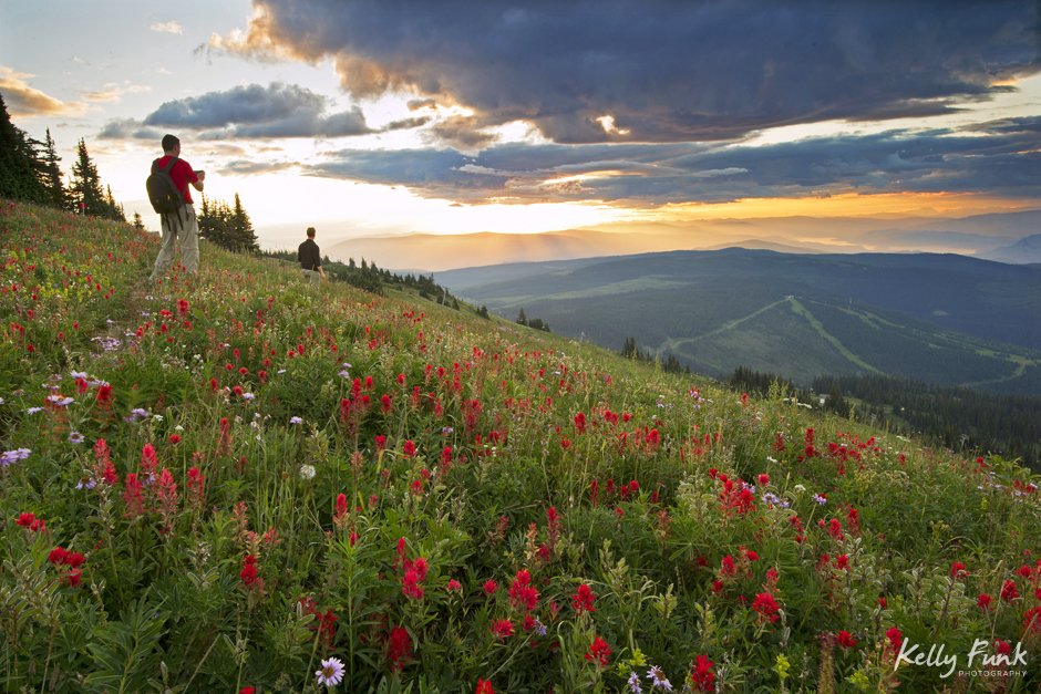 Hiking in the flowers, Sun Peaks resort, Kamloops, BC, Canada,