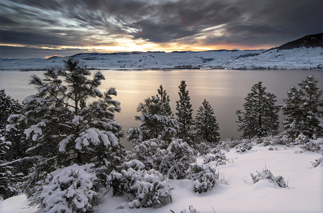 Nicola lake at sunrise in the winter with fresh snow on the trees, British Columbia, Thompson Nicola region, Canada