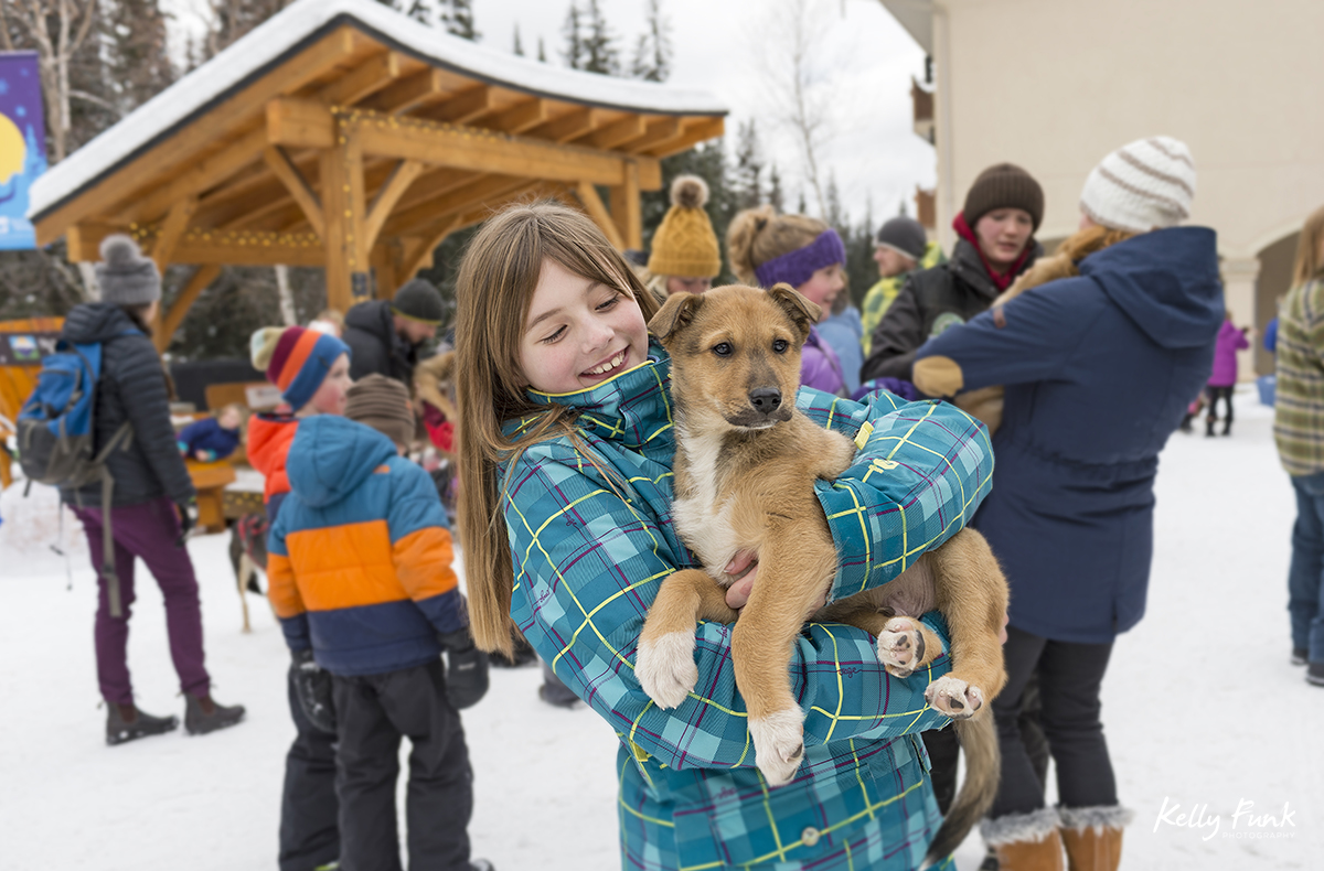 holiday kick off weekend and meeting the sled dogs, Sun Peaks Resort, near Kamloops, British Columbia, Thompson Okanagan region, Canada