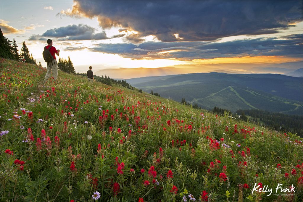 Sun Peaks and two hikers at sunrise enjoy the wildflowers on a stunning morning, British Columbia, Canada