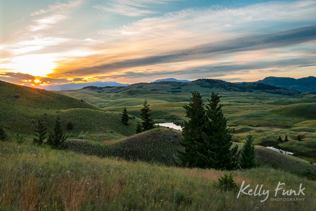 Sweeping grasslands at sunrise in Lac du Bois protected grasslands, British Columbia, Canada
