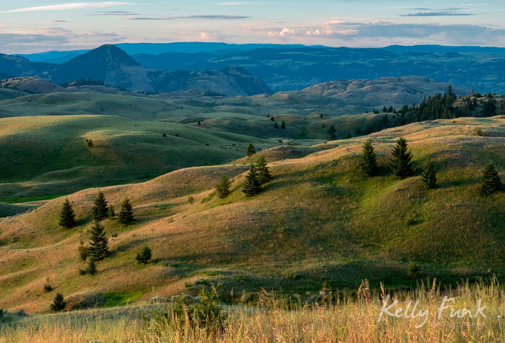 Sweeping grasslands at sunrise in Lac du Bois protected grasslands, British Columbia, Canada