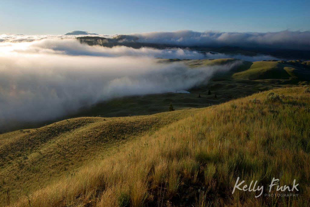 Sweeping grasslands in Lac du Bois protected grasslands, British Columbia, Canada