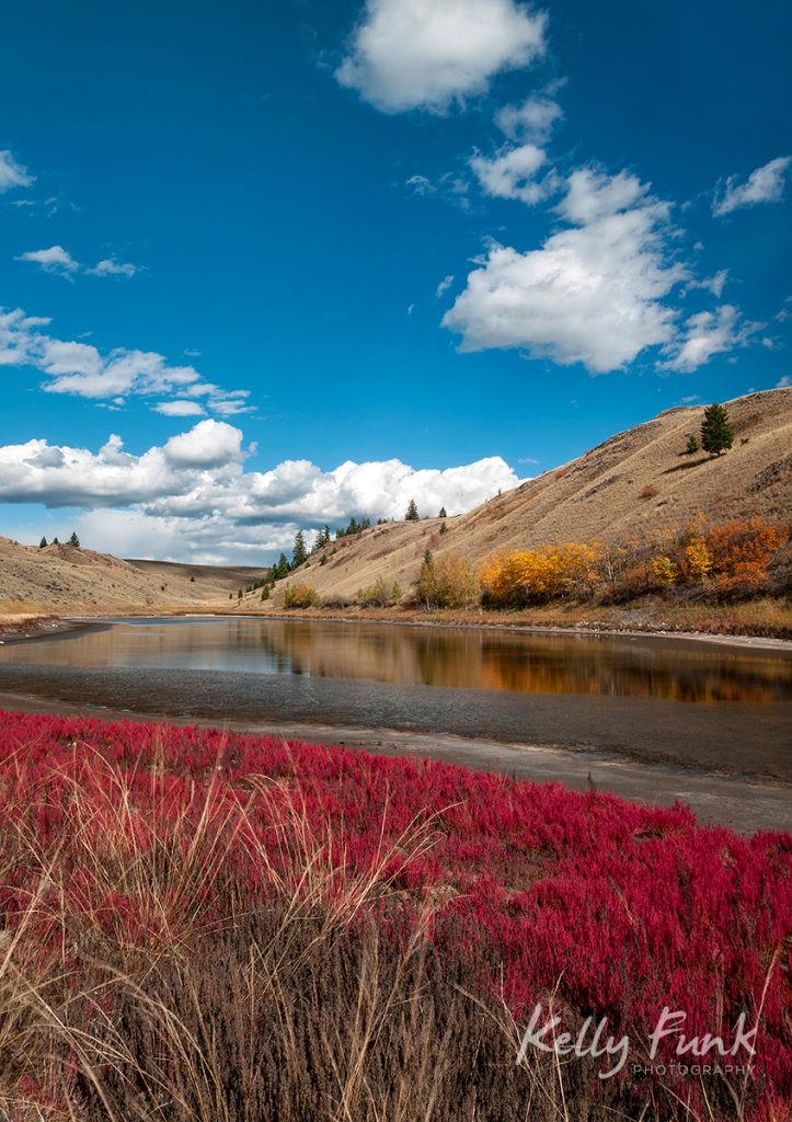 Fall foliage around a low elevation lake in Lac Du Bois Provincial Park, British Columbia, Canada