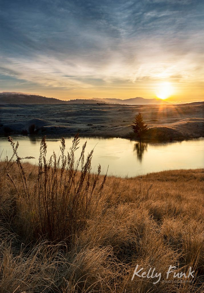 Sweeping grasslands at sunrise in Lac du Bois protected grasslands, British Columbia, Canada