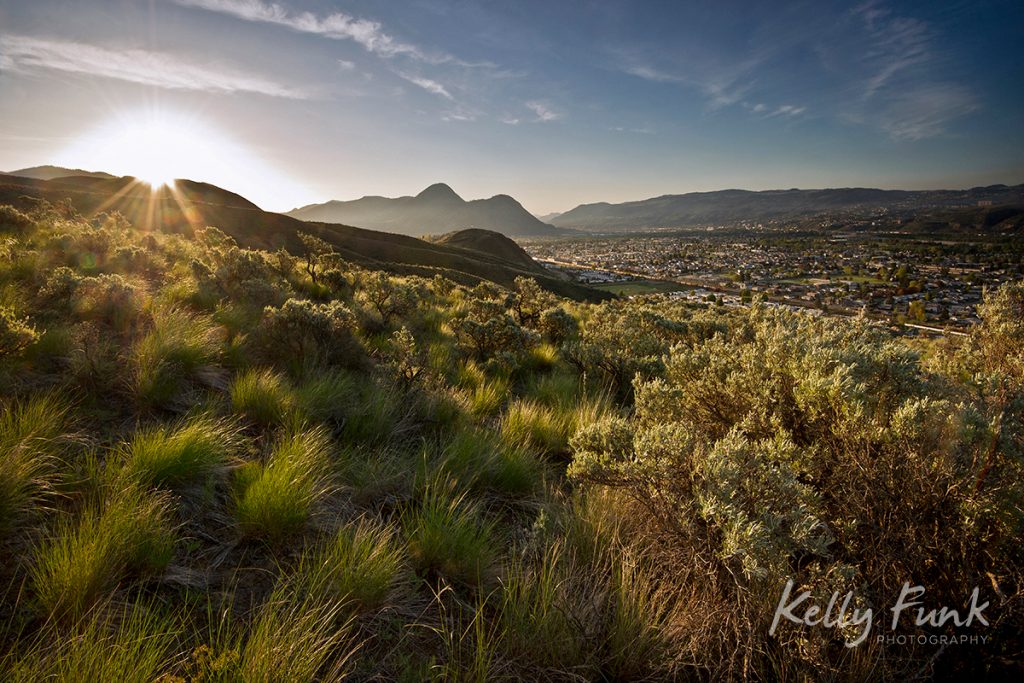 Sweeping grasslands at sunrise in Lac du Bois protected grasslands, British Columbia, Canada