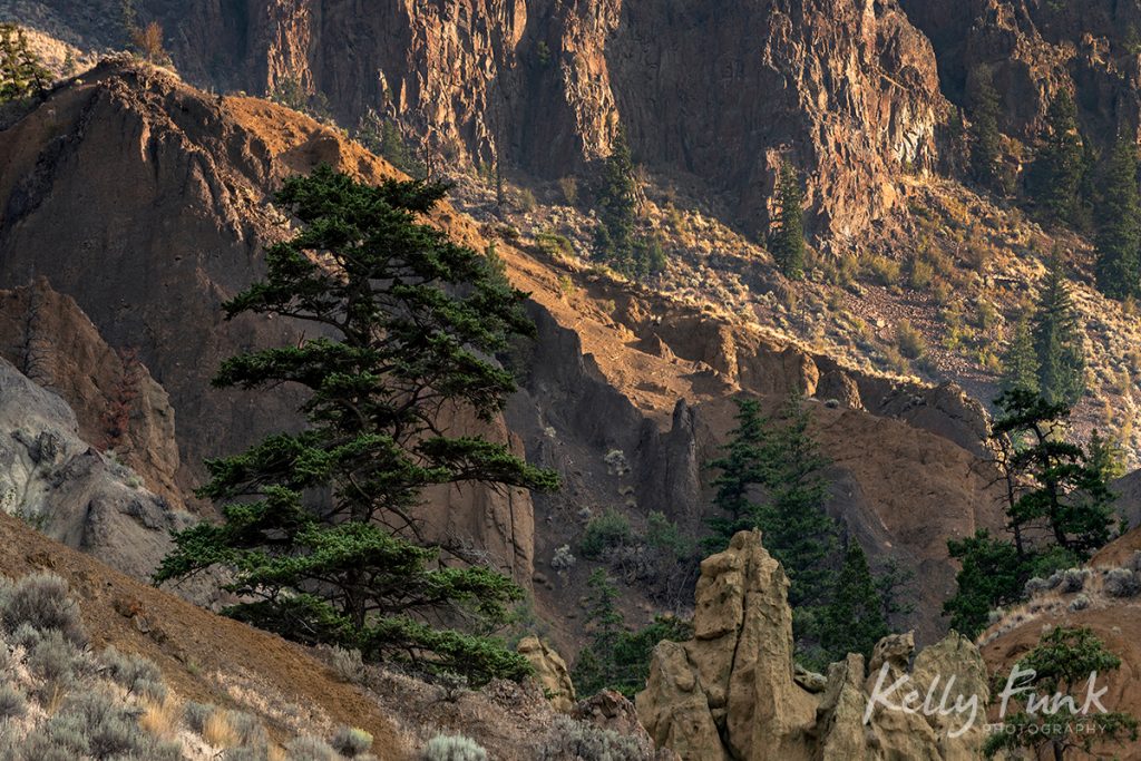 Cinammon Ridge or Mara loop trail, during a commercial shoot, Kamloops, British Columbia, Thompson Okanagan region, Canada