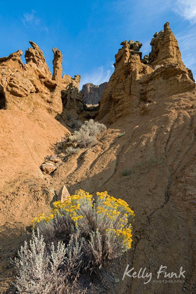 Cinammon Ridge or Mara loop trail, during a commercial shoot, Kamloops, British Columbia, Thompson Okanagan region, Canada