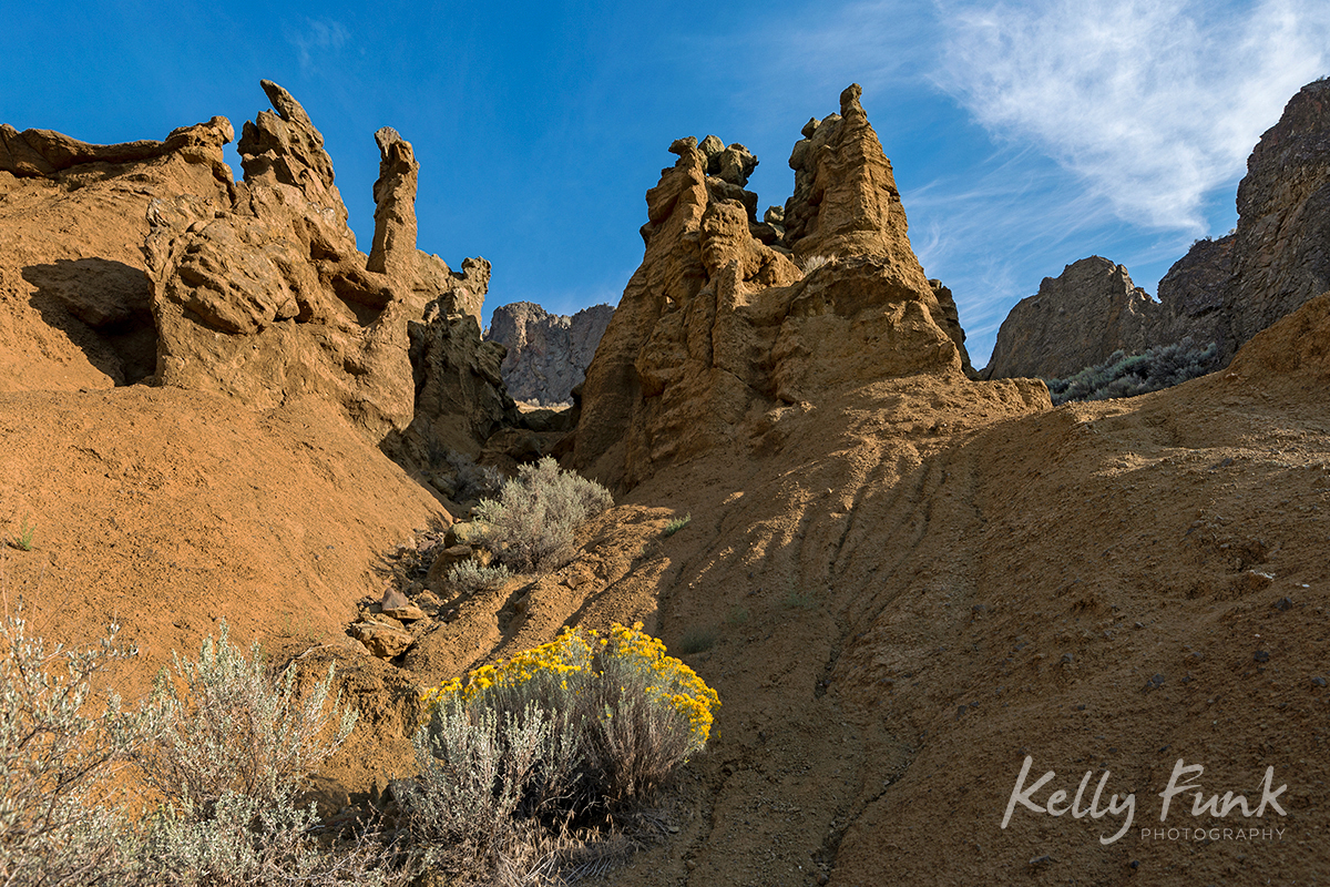 Cinammon Ridge or Mara loop trail, during a commercial shoot, Kamloops, British Columbia, Thompson Okanagan region, Canada