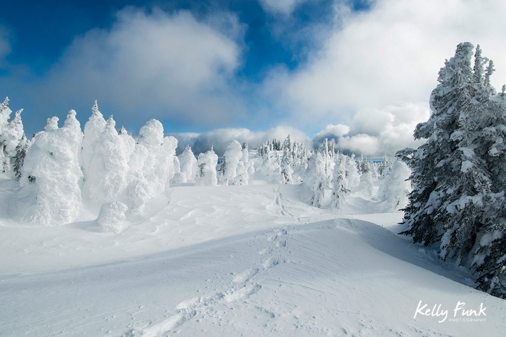 Tracks of a snowshoer are seen in amongst the snow ghosts at Sun Peaks Ski Resort, near Kamloops, British Columbia Canada
