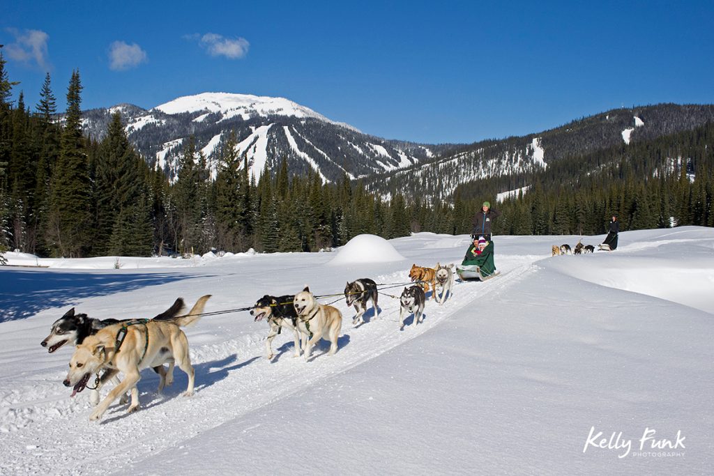 A couple enjoys a day of dog sledding at Sun Peaks Resort with Tod Mountain the background, near Kamloops, Thompson Okanagan region, British Columbia, Canada