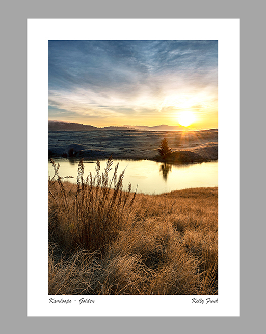 Kamloops and Sun Peaks Greeting card titled Golden