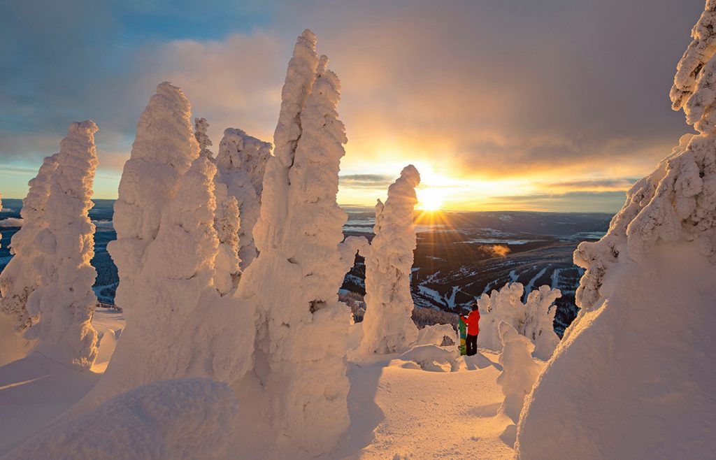 Beautiful sunrise for a snow boarder amongst the snow ghosts at Sun Peaks Resort, BC