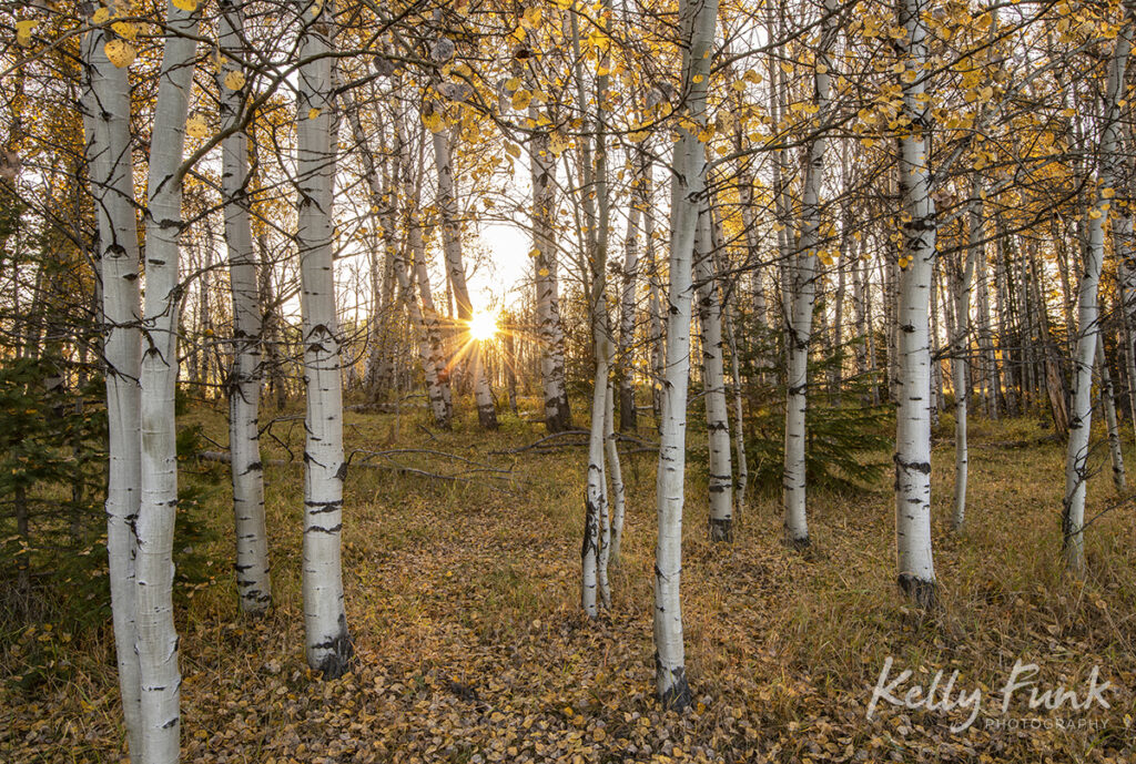 Kamloops sunrise and fall colors