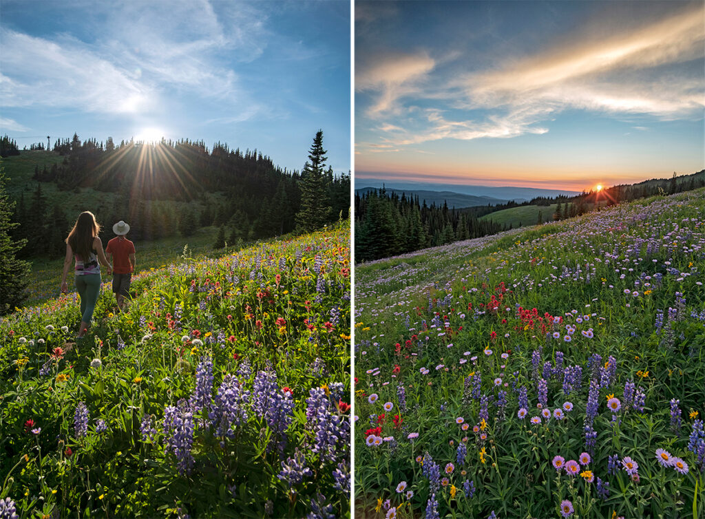 Sun Peaks hikers