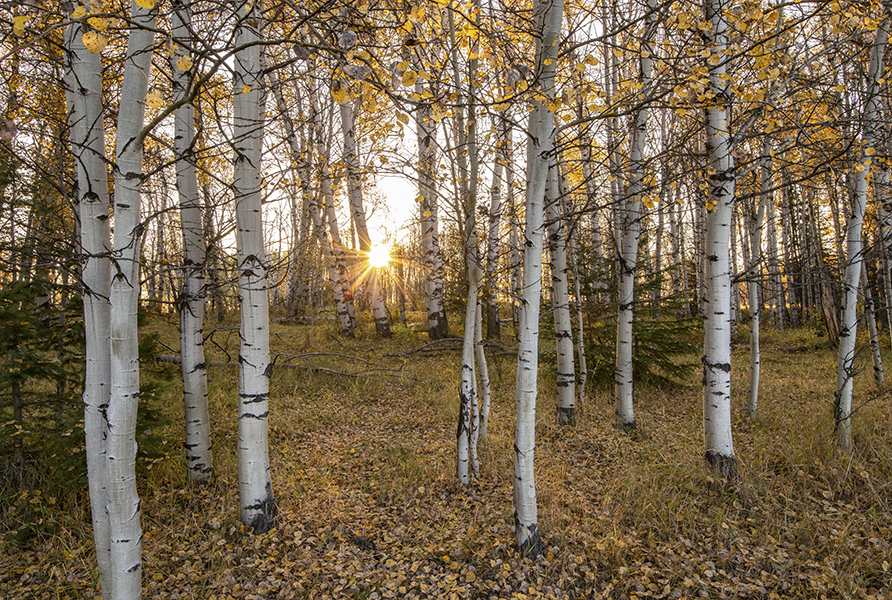 kamloops Sun Peaks photographer 39