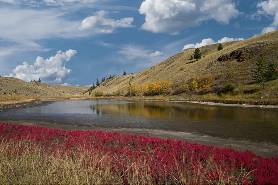 Kamloops Sun Peaks Photographer 78