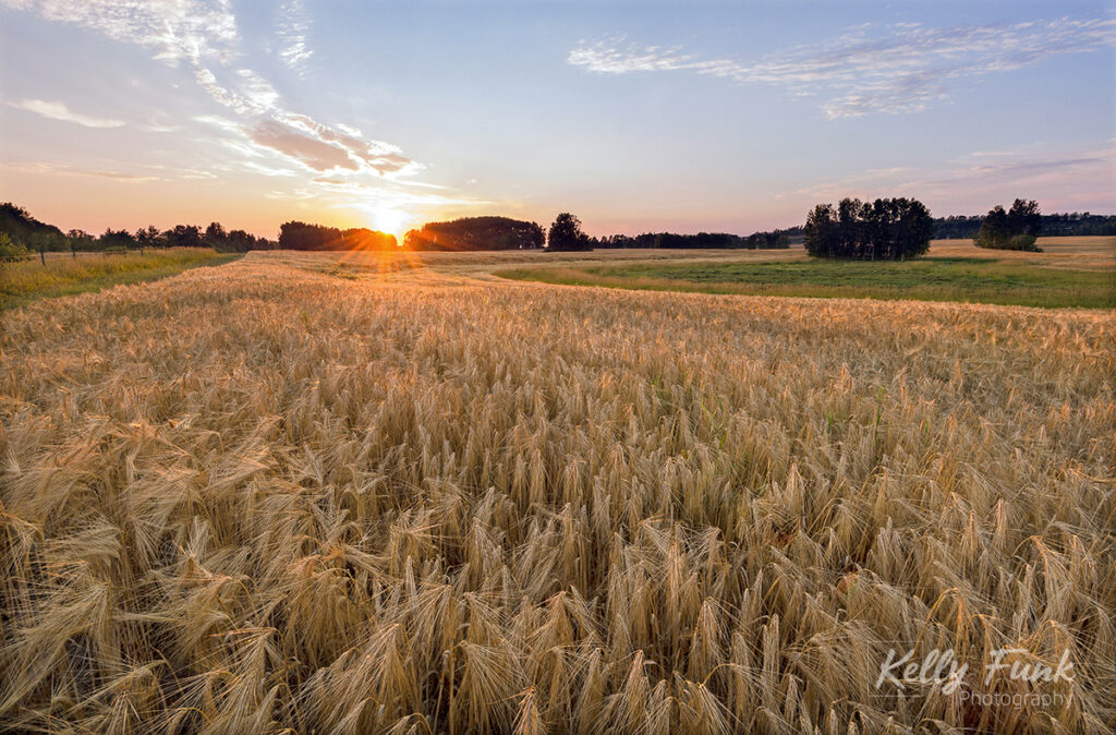 Commercial photography in the Okanagan 14