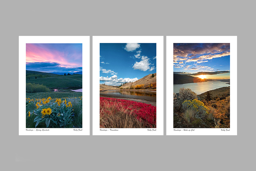 Kelly Funk Kamloops & Sun Peaks thank you cards 25