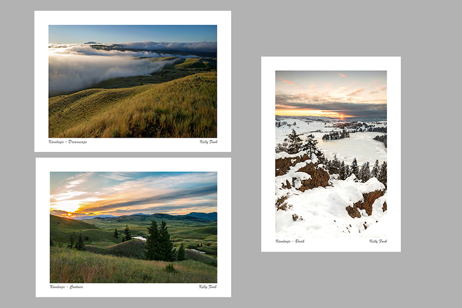 Kelly Funk Kamloops & Sun Peaks thank you cards 30