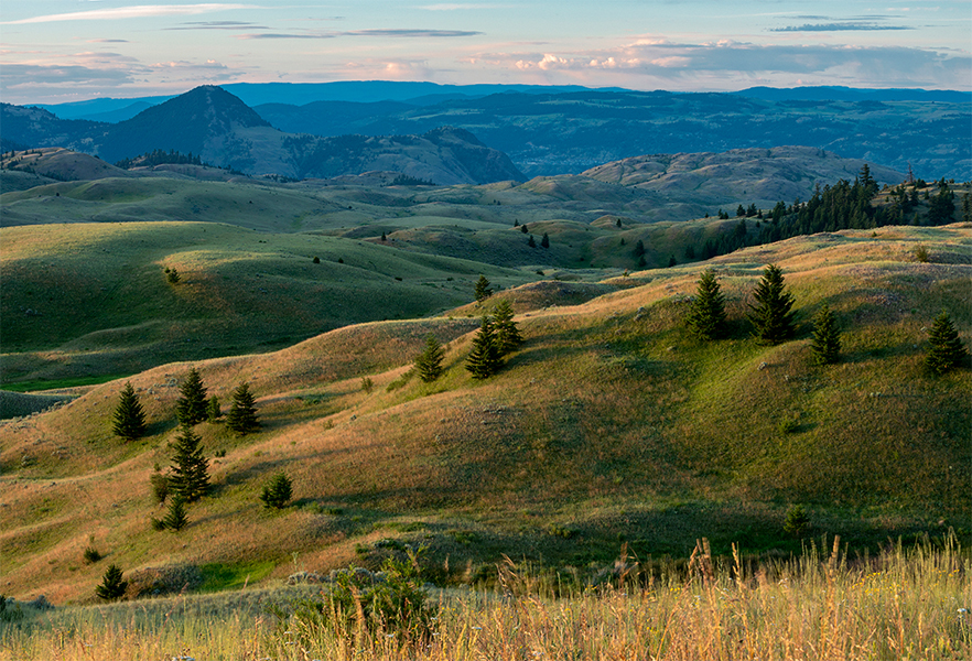 Kamloops prints and stock images 94