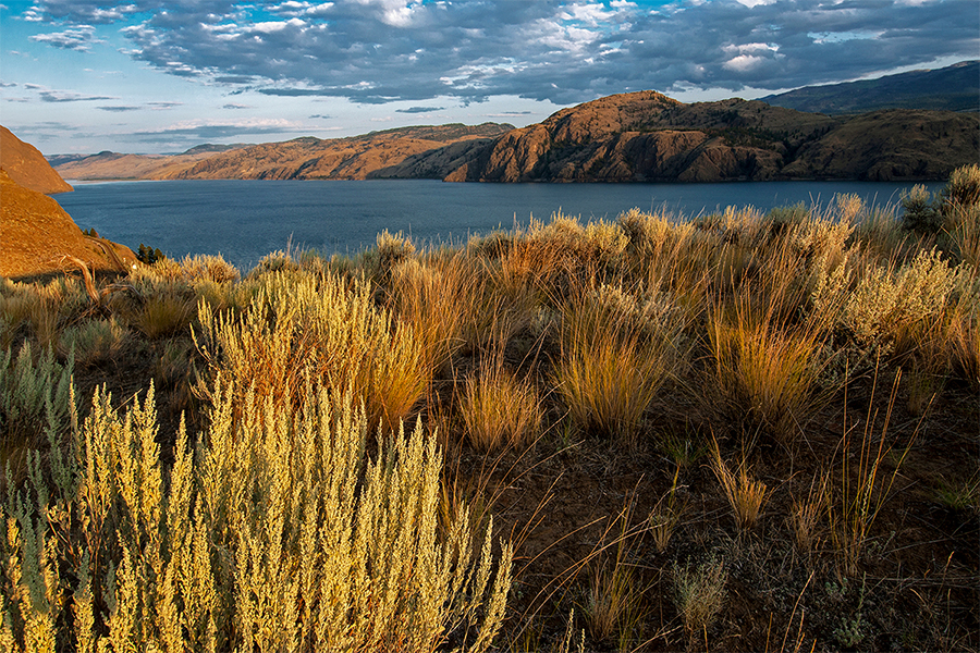 Kamloops prints and stock images 95