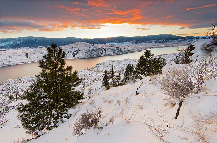 Kamloops prints and stock images 117