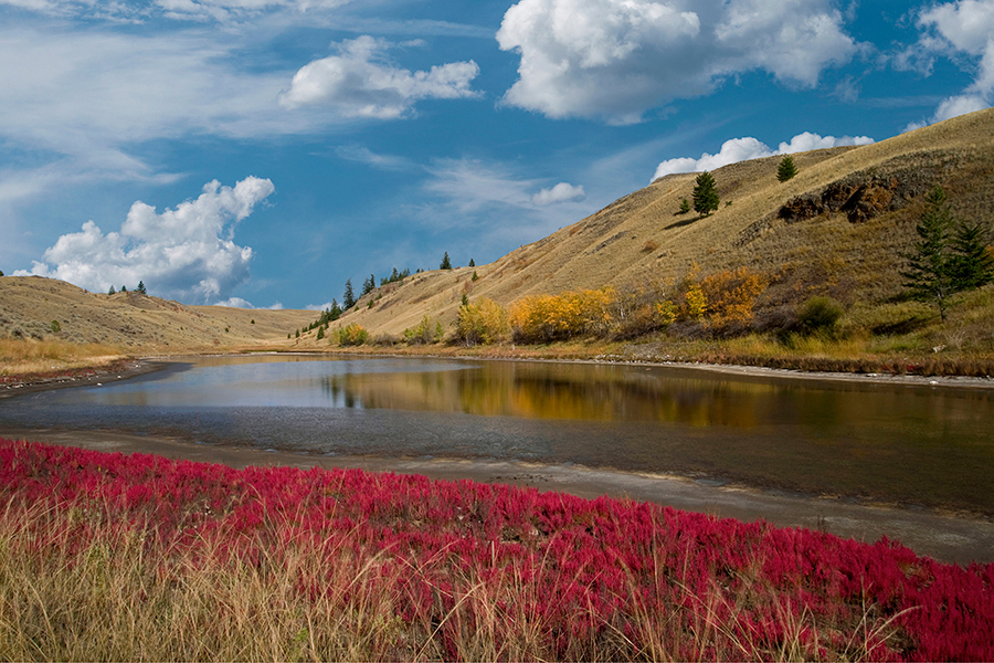 Kelly Funk autumn brilliance Kamloops prints and stock images 140