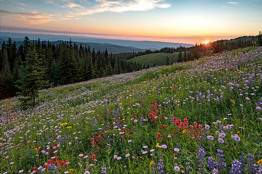 Kelly Funk Sun Peaks sunset Kamloops prints and stock images 137