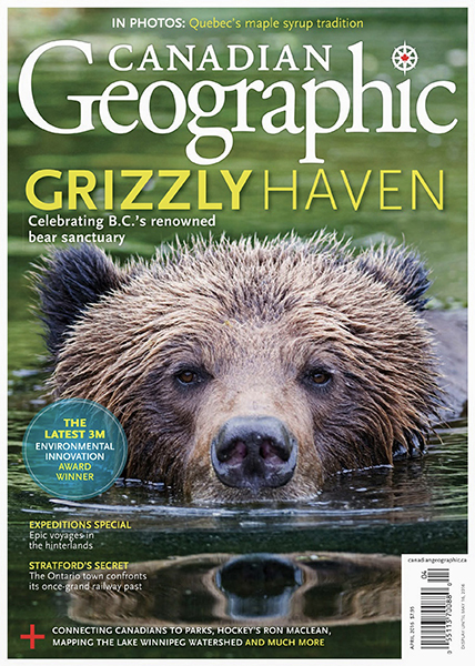 Kelly Funk wildlife Canadian Geo cover A male Grizzly Bear in the Khutzeymateen Valley is showcased by Kelly Funk Photography on the cover of Canadian Geographic Magazine, northern British Columbia, Canada.