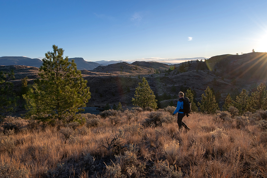 Kelly Funk hiker at sunrise A hiker captured by Kelly Funk Photography explores the brilliant fall landscape west of Kamloops at sunrise in the Thompson Okanagan region of British Columbia Canada